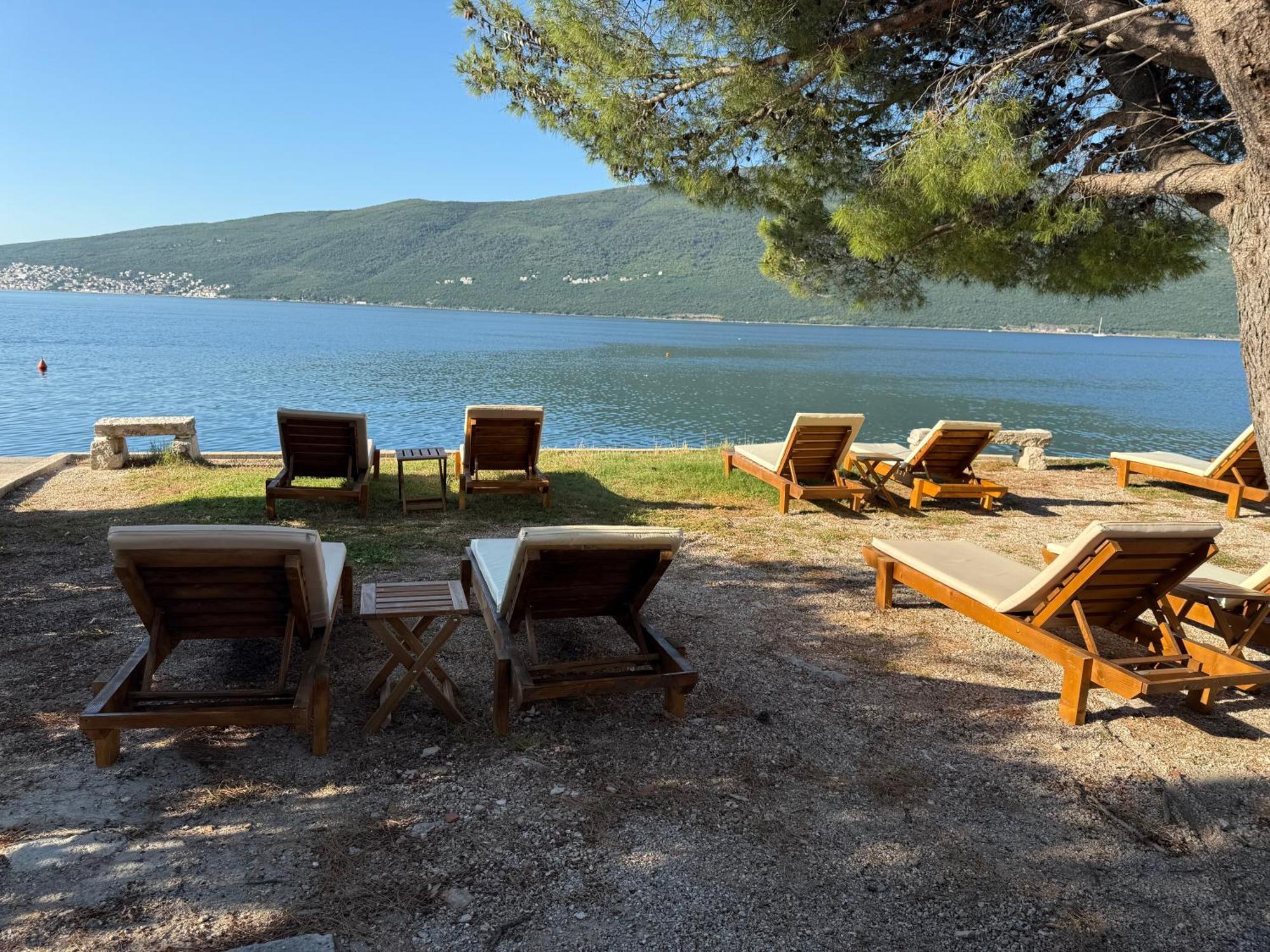 Danilovic * Herceg Novi